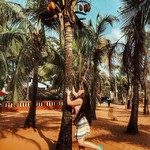 @instagram: Monkey????
Мыслями я ещё там осталась, вспоминая теплейшей океан, пальмы, сумасшедших водил и друзей.
Священных коров в этом раз было очень мало...
Обычно они толпами ходят по дорогам и пляжам. Турист и корова привычная картина для этих мест, но не в этот