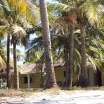 @instagram: #India #south #Goa a #cozy #lodge by the #Benaulim #beach