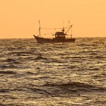 @instagram: 'I made it because I'm still sailing through it' #boat #sailing⛵️ #sailingboat #sunkissedwaves #sunkissedbeach #skyisorange #peachsky #sunset #sunsetsatbeach #seawaves #benaulimbeach #benaulim #goa