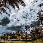 @instagram: Adopt the pace of nature: her secret is patience. ????????☁️????️
.
.
.
.
.
.
#shotononeplus #shotononeplus7pro @oneplus_india @oneplus #oneplus #oneplus7pro #onepluslife #clouds #nature #tree #sun #goa #colva #india