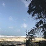 @instagram: #indianmonsoon#goa#relax#donothing#gowithbuddhasflow#colva