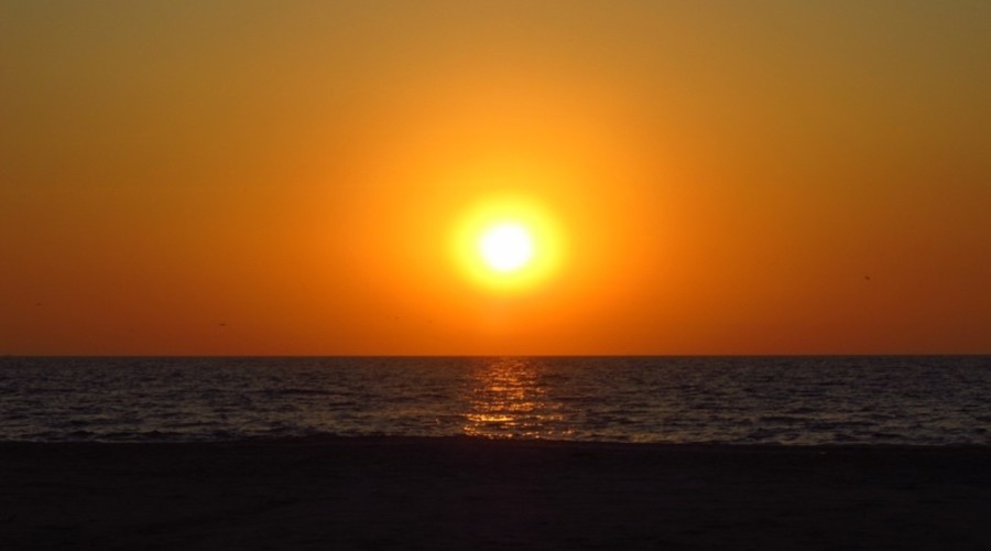 Wildflower Villa — Villa for rent in Colva