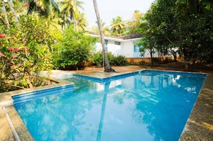 Purple Mango — Luxury villa for rent in Baga