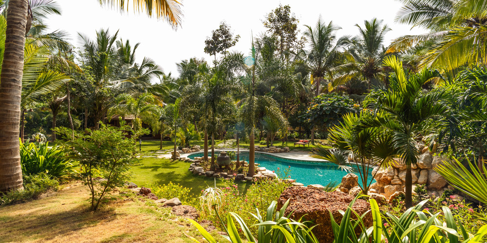 Farm Villa — Luxury villa for rent in Raia