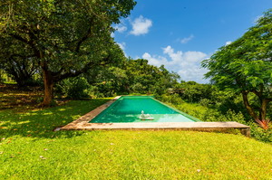 Jungle Villa 2 — Luxury villa for rent in Aldona