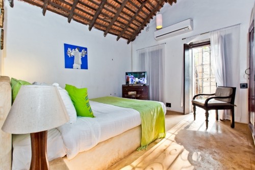 Room blooming garden