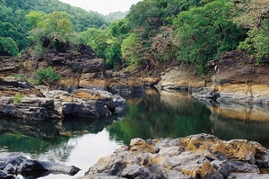 Cotigao Wildlife Sanctuary and National Park
