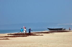 Cansaulim Beach