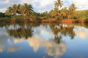 The lake in Arambol