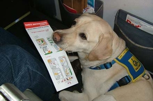 Transportation of animals to Goa