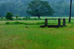 The monsoon season in Goa