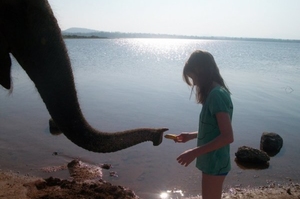 Activities and entertainment for children