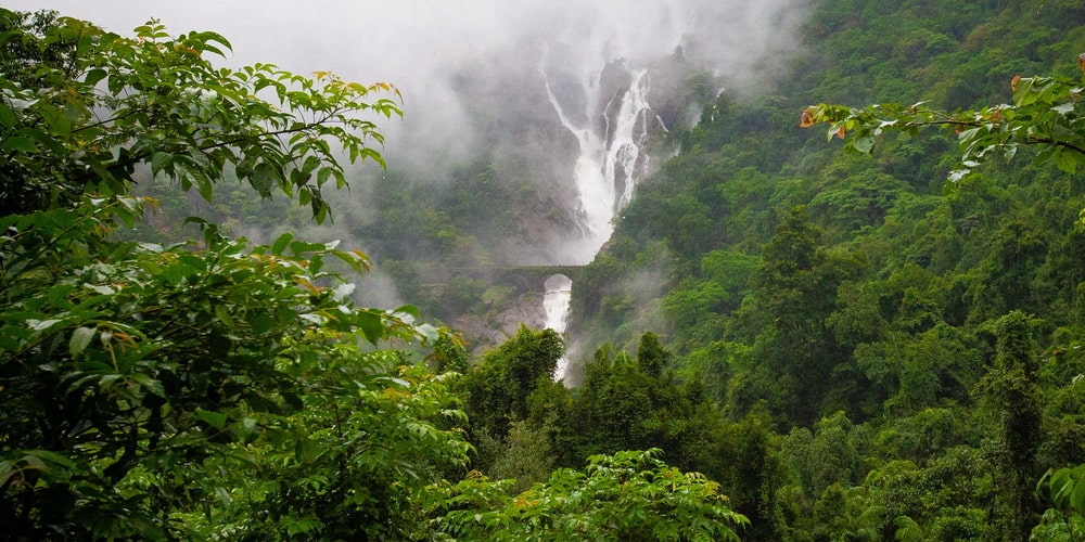 Dudhsagar waterfall in Goa