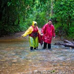 Monsoon Dudhsagar Waterfall