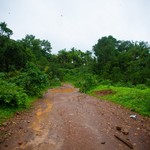 Monsoon Dudhsagar Waterfall
