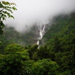 Monsoon Dudhsagar Waterfall