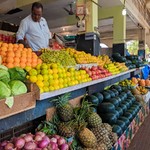 Goa Fruits Gallery: Mango, Watermelon, Papaya, Banana, Pineapple