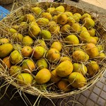 Goa Fruits Gallery: Mango, Watermelon, Papaya, Banana, Pineapple