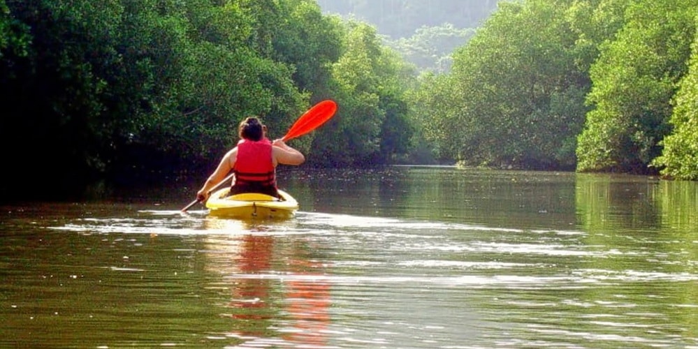Goa Kayaking