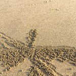 Goa May Gallery: Markets, Fruits, Weather, Beaches