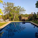 Goa May Gallery: Markets, Fruits, Weather, Beaches