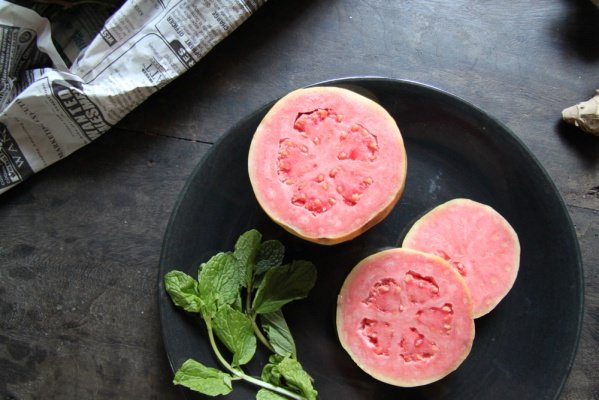 Guava fruit in Goa